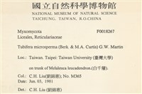 登錄號:F0018267藏品圖，第2張