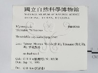 登錄號:F0018268藏品圖，第2張