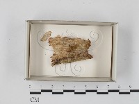 登錄號:F0018271藏品圖，第1張