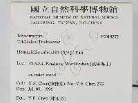 登錄號:F0018272藏品圖，第2張
