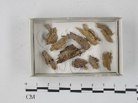 登錄號:F0018272藏品圖，第1張
