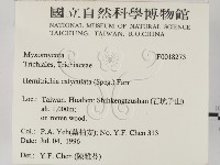 登錄號:F0018273藏品圖，第2張