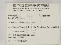 登錄號:F0018275藏品圖，第2張