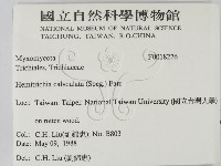 登錄號:F0018276藏品圖，第2張