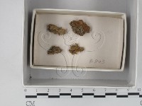 登錄號:F0018276藏品圖，第1張