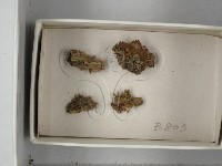 登錄號:F0018276藏品圖，第3張