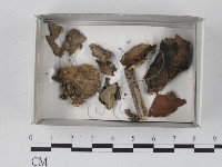 登錄號:F0018277藏品圖，第1張