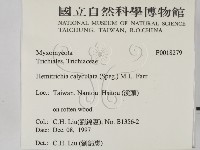 登錄號:F0018279藏品圖，第2張