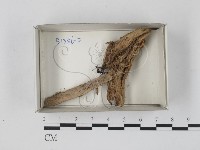 登錄號:F0018279藏品圖，第1張