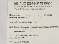 登錄號:F0018280藏品圖，第2張