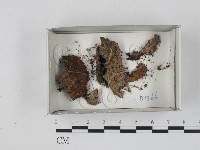 登錄號:F0018280藏品圖，第1張