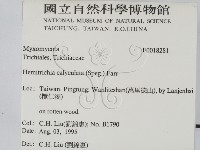 登錄號:F0018281藏品圖，第2張