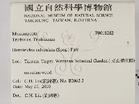登錄號:F0018282藏品圖，第2張