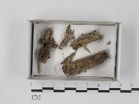 登錄號:F0018282藏品圖，第1張