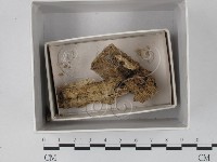 登錄號:F0018283藏品圖，第1張