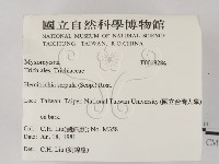登錄號:F0018284藏品圖，第2張