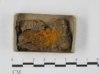 登錄號:F0018285藏品圖，第1張