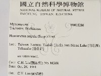 登錄號:F0018286藏品圖，第2張