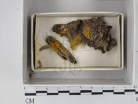 登錄號:F0018286藏品圖，第1張