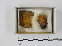 登錄號:F0018287藏品圖，第1張