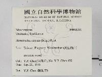 登錄號:F0018291藏品圖，第2張