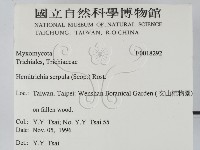 登錄號:F0018292藏品圖，第2張