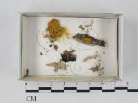 登錄號:F0018292藏品圖，第1張