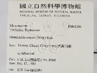 登錄號:F0018293藏品圖，第2張