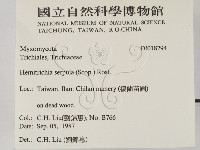 登錄號:F0018294藏品圖，第2張