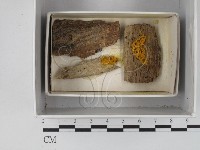 登錄號:F0018294藏品圖，第1張