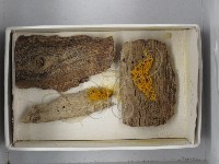 登錄號:F0018294藏品圖，第3張