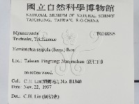 登錄號:F0018295藏品圖，第2張