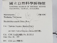 登錄號:F0018296藏品圖，第2張