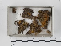 登錄號:F0018296藏品圖，第1張