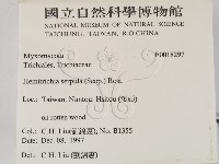 登錄號:F0018297藏品圖，第2張