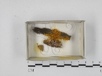 登錄號:F0018299藏品圖，第1張