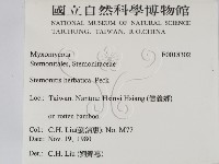 登錄號:F0018302藏品圖，第2張