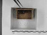 登錄號:F0018302藏品圖，第1張