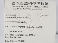 館號:F0018303藏品圖，第2張