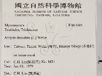 登錄號:F0018305藏品圖，第2張