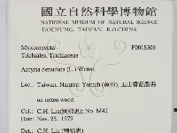 登錄號:F0018306藏品圖，第2張