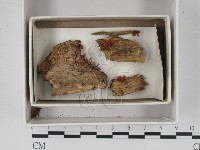 登錄號:F0018308藏品圖，第1張