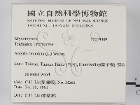 登錄號:F0018309藏品圖，第2張