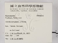 登錄號:F0018311藏品圖，第2張