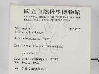 登錄號:F0018312藏品圖，第2張