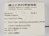 登錄號:F0018313藏品圖，第2張
