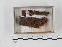 登錄號:F0018313藏品圖，第1張