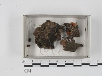 登錄號:F0018314藏品圖，第1張