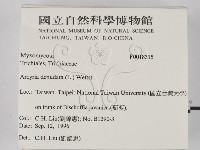 登錄號:F0018315藏品圖，第2張