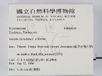 登錄號:F0018316藏品圖，第2張